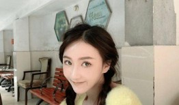 武霖前女友爆料视频,揭秘背后惊人真相